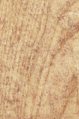 Akçaağaç ahşap kaplama ağartılmış Grunge doku örneği lekeli