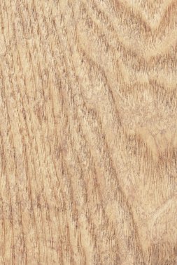 Akçaağaç ahşap kaplama ağartılmış Grunge doku örneği lekeli