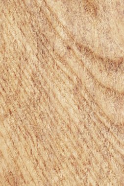 Akçaağaç ahşap kaplama ağartılmış Grunge doku örneği lekeli