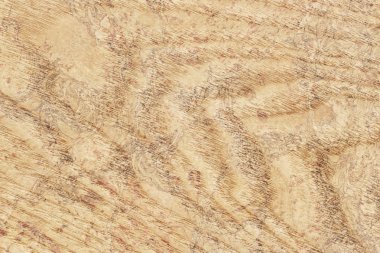 Akçaağaç ahşap kaplama ağartılmış Grunge doku örneği lekeli