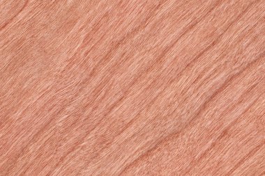 Kiraz ahşap kaplama Grunge doku örneği