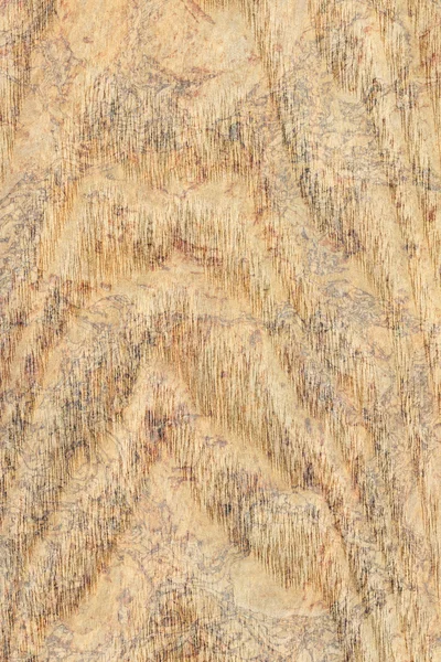 Maple Wood Veneer Bleached Stained Grunge Texture Sample — Stock Photo, Image