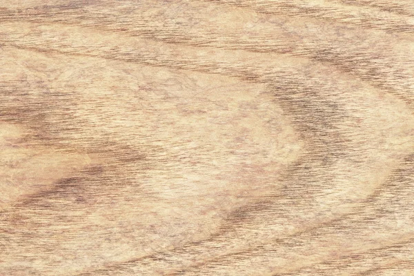 단풍나무 나무 베 니 어 표백 얼룩이 Grunge 텍스처 샘플 — 스톡 사진