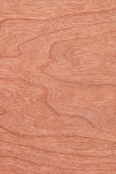 Образец текстуры вишневого дерева
