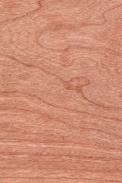 Cherry Wood Veneer Grunge Texture Sample — Stock Photo, Image