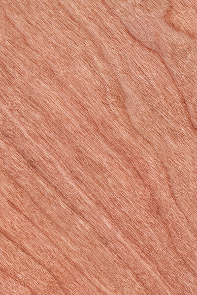 Образец текстуры вишневого дерева
