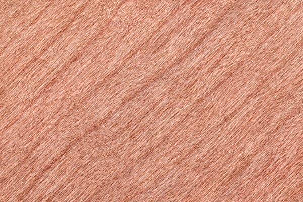 Образец текстуры вишневого дерева
