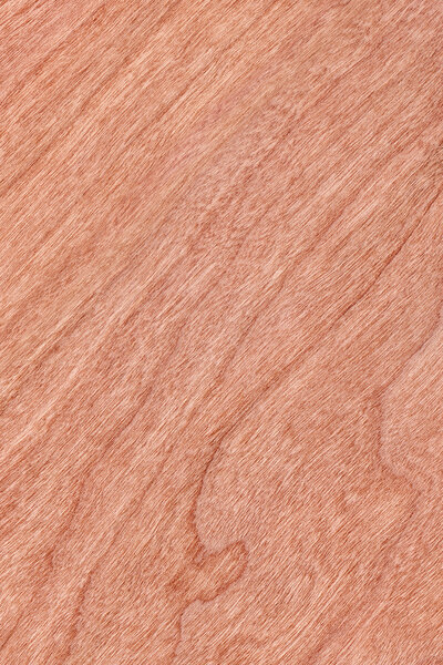 Образец текстуры вишневого дерева
