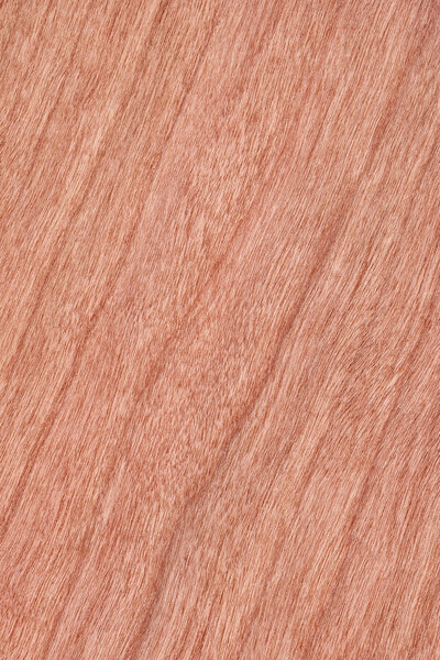 Образец текстуры вишневого дерева
