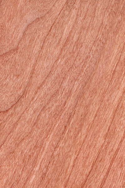 Образец текстуры вишневого дерева
