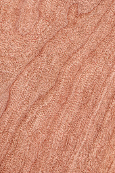 Образец текстуры вишневого дерева
