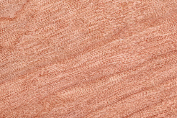 Образец текстуры вишневого дерева
