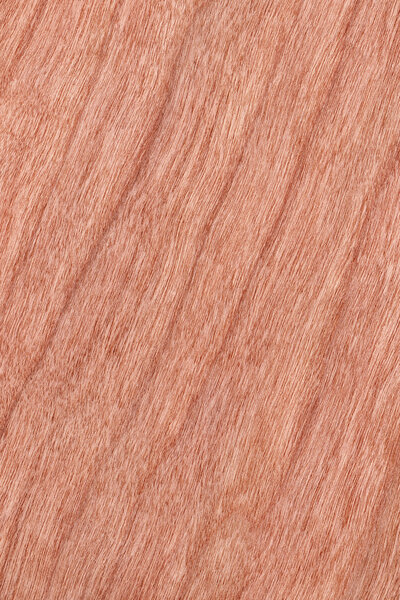 Образец текстуры вишневого дерева
