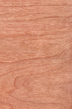 Kiraz ahşap kaplama Grunge doku örneği