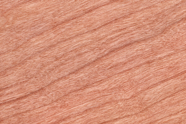 Образец текстуры вишневого дерева
