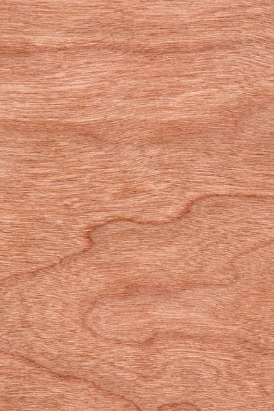 樱桃木单板 Grunge 纹理样本 — 图库照片