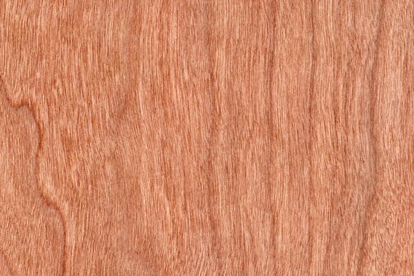 Образец текстуры вишневого дерева
