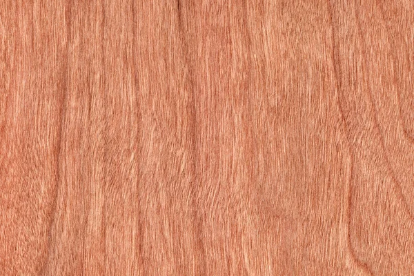 樱桃木单板 Grunge 纹理样本 — 图库照片