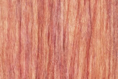 Kiraz ahşap kaplama lekeli Grunge doku örneği ağartılmış