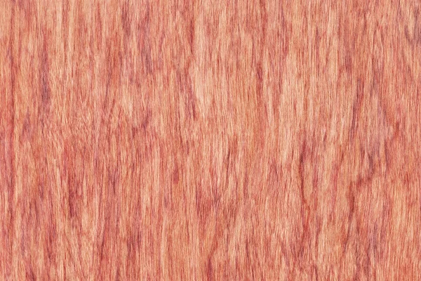 桜ウッド突き板漂白染色グランジ テクスチャのサンプル — ストック写真