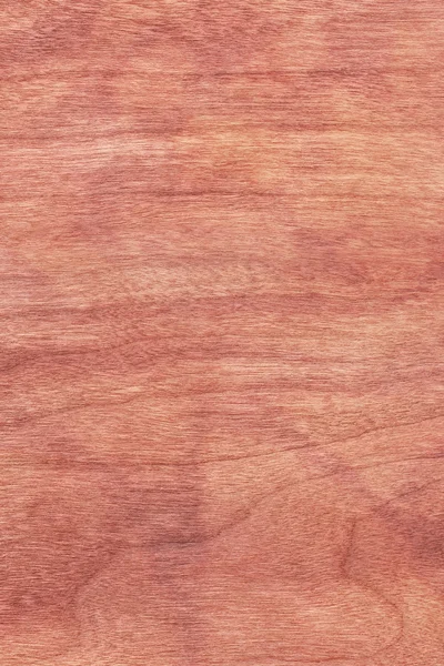 Cherry Wood Veneer Bleached Stained Grunge Texture Sample — Stock Photo, Image