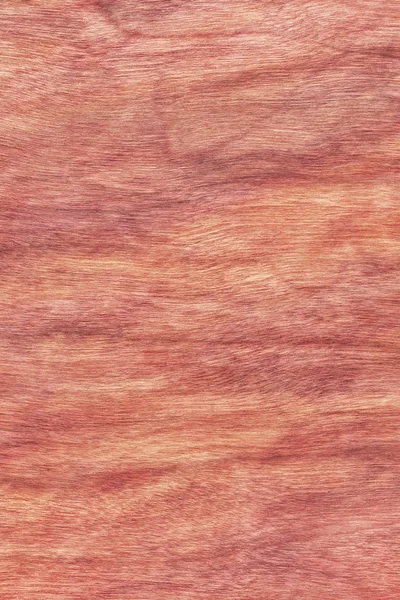 Kirschholz Furnier gebleicht gefärbt Grunge Textur Probe — Stockfoto