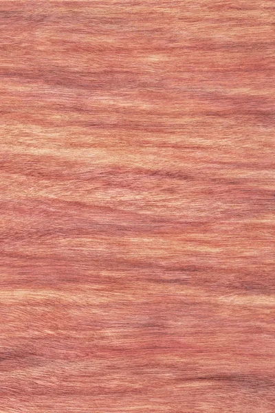 Cherry Houtfineer gebleekt gebeitst Grunge textuur monster — Stockfoto