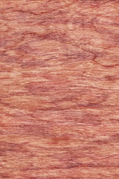 樱桃木单板漂白染色的 Grunge 纹理样本 — 图库照片