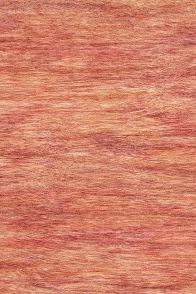 樱桃木单板漂白染色的 Grunge 纹理样本 — 图库照片