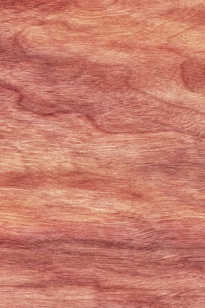 Cherry Houtfineer gebleekt gebeitst Grunge textuur monster — Stockfoto