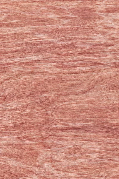 桜ウッド突き板漂白染色グランジ テクスチャのサンプル — ストック写真