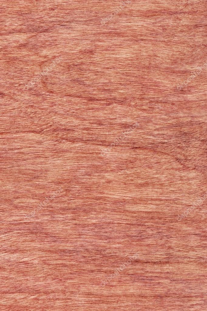 Cherry Wood Veneer Bleached Stained Grunge Texture Sample Stock Photo