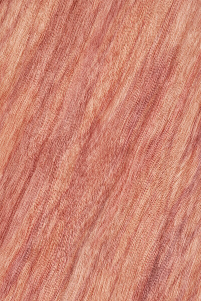 Cherry Wood Veneer Bleached Stained Grunge Texture Sample