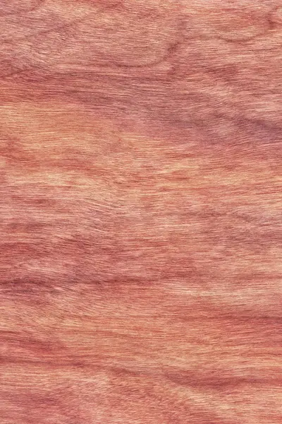 Cherry Wood Veneer Bleached Stained Grunge Texture Sample — Stock Photo, Image