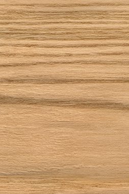 Doğal meşe ahşap kaplama Grunge doku örneği
