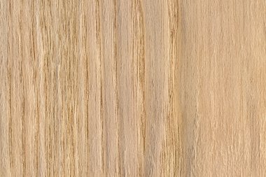 Doğal meşe ahşap kaplama Grunge doku örneği