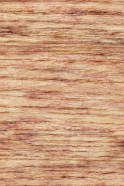 Doğal meşe ahşap kaplama benekli Grunge doku örneği ağartılmış
