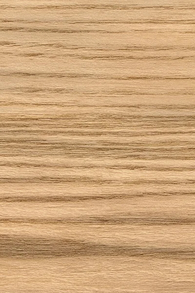 Muestra de textura grunge de chapa de madera de roble natural —  Fotos de Stock