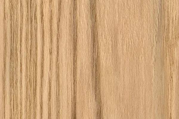 Muestra de textura grunge de chapa de madera de roble natural —  Fotos de Stock