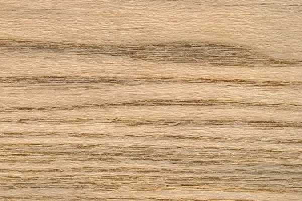 Muestra de textura grunge de chapa de madera de roble natural —  Fotos de Stock