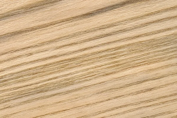 Muestra de textura grunge de chapa de madera de roble natural —  Fotos de Stock