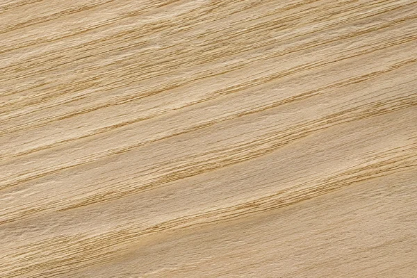 Muestra de textura grunge de chapa de madera de roble natural —  Fotos de Stock
