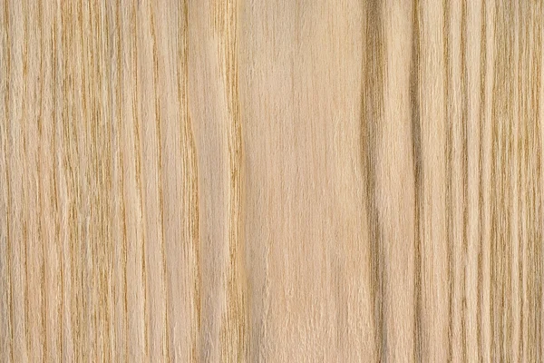 Muestra de textura grunge de chapa de madera de roble natural —  Fotos de Stock