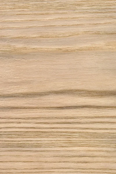 Muestra de textura grunge de chapa de madera de roble natural —  Fotos de Stock