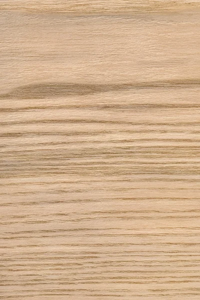 Muestra de textura grunge de chapa de madera de roble natural —  Fotos de Stock