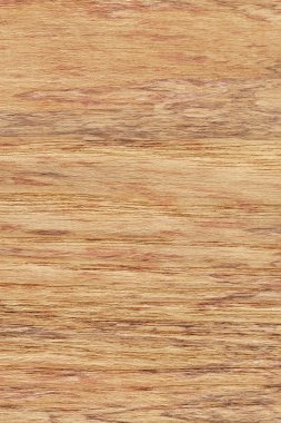 Doğal meşe ahşap kaplama benekli Grunge doku örneği deyimiyle