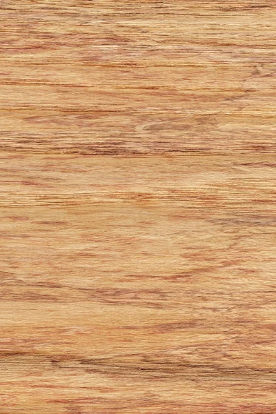 Muestra de textura de grunge moteada de chapa de madera de roble natural —  Fotos de Stock