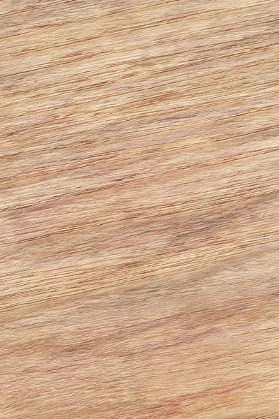 Natuurlijke eiken hout fineer uitgewist gevlekt Grunge textuur — Stockfoto
