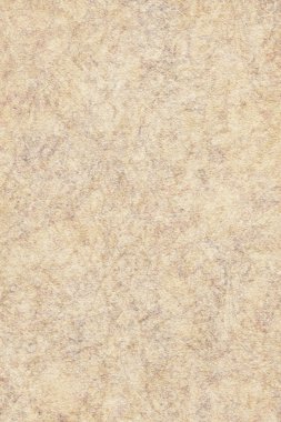Suluboya kağıdı bej ekstra kaba tahıl fotoğraflarda benekli Grunge doku örneği geri dönüşüm