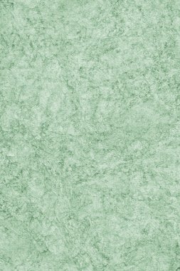 Watercolor Recycle Kelly Green Paper Coarse Blotted Mottled Grunge Texture
